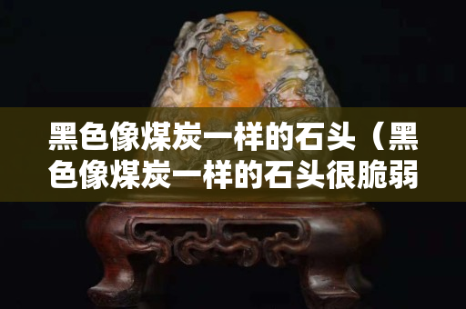 黑色像煤炭一样的石头（黑色像煤炭一样的石头很脆弱容易碎）