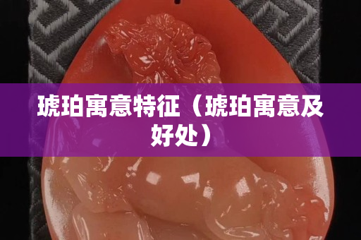 琥珀寓意特征（琥珀寓意及好处）