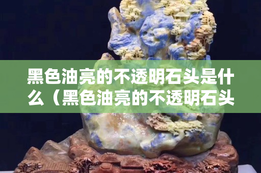 黑色油亮的不透明石头是什么（黑色油亮的不透明石头是什么材质）