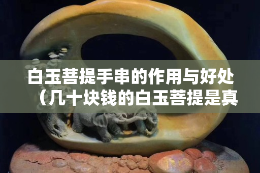 白玉菩提手串的作用与好处（几十块钱的白玉菩提是真的吗）