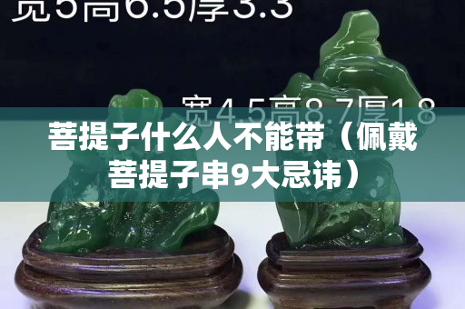 菩提子什么人不能带（佩戴菩提子串9大忌讳）