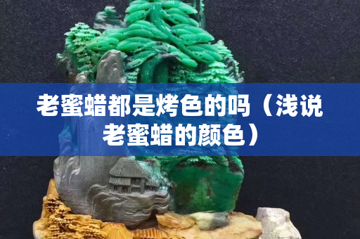 老蜜蜡都是烤色的吗（浅说老蜜蜡的颜色）