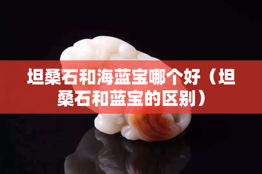 坦桑石和海蓝宝哪个好（坦桑石和蓝宝的区别）