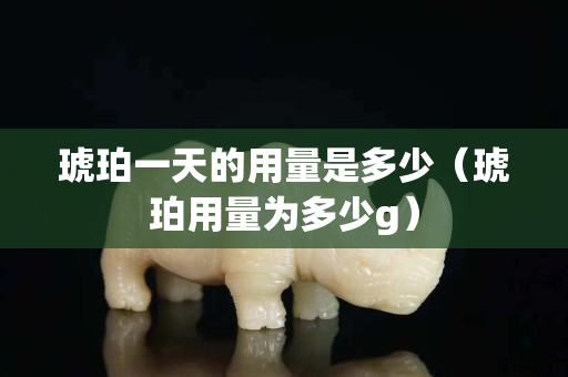 琥珀一天的用量是多少（琥珀用量为多少g）