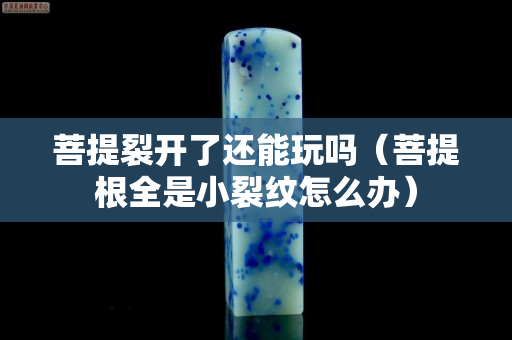 菩提裂开了还能玩吗（菩提根全是小裂纹怎么办）