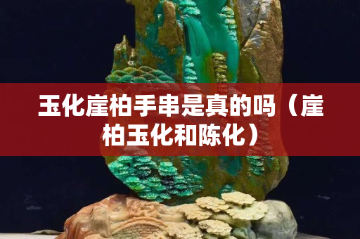 玉化崖柏手串是真的吗（崖柏玉化和陈化）