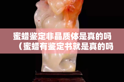 蜜蜡鉴定非晶质体是真的吗（蜜蜡有鉴定书就是真的吗）