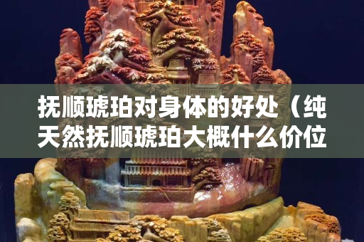抚顺琥珀对身体的好处（纯天然抚顺琥珀大概什么价位多少钱一克）