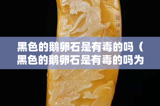 黑色的鹅卵石是有毒的吗（黑色的鹅卵石是有毒的吗为什么）