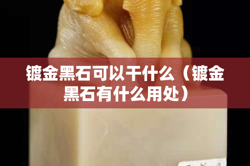 镀金黑石可以干什么（镀金黑石有什么用处）