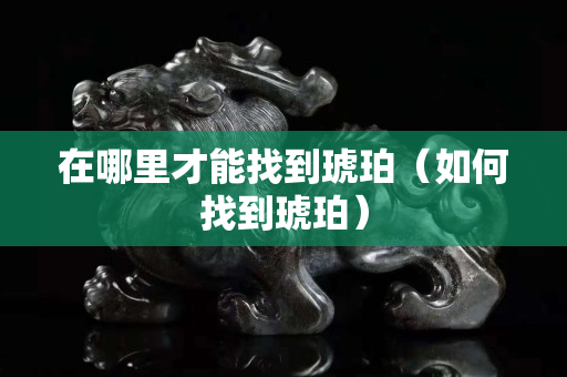 在哪里才能找到琥珀（如何找到琥珀）