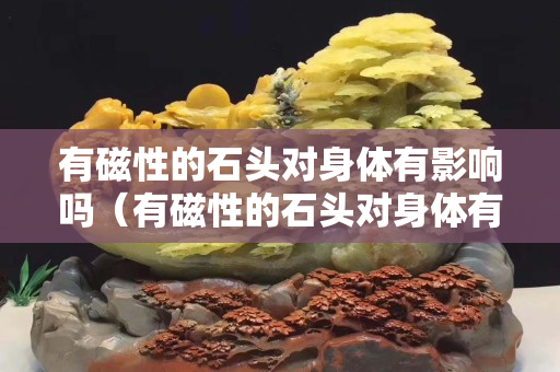 有磁性的石头对身体有影响吗（有磁性的石头对身体有影响吗图片）