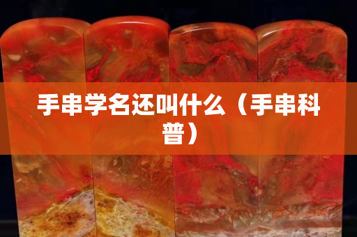 手串学名还叫什么（手串科普）