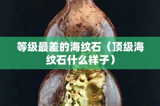 等级最差的海纹石（顶级海纹石什么样子）