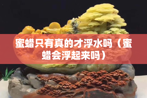 蜜蜡只有真的才浮水吗（蜜蜡会浮起来吗）