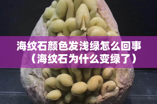 海纹石颜色发浅绿怎么回事（海纹石为什么变绿了）