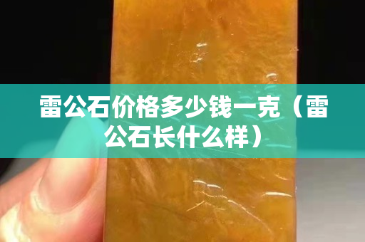 雷公石价格多少钱一克（雷公石长什么样）