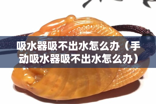 吸水器吸不出水怎么办（手动吸水器吸不出水怎么办）