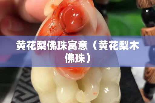 黄花梨佛珠寓意（黄花梨木佛珠）