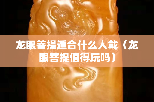 龙眼菩提适合什么人戴（龙眼菩提值得玩吗）