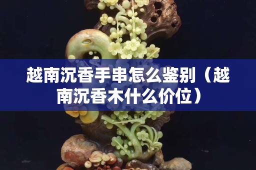 越南沉香手串怎么鉴别（越南沉香木什么价位）