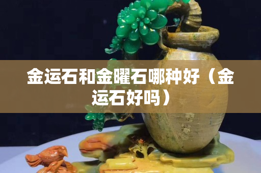金运石和金曜石哪种好（金运石好吗）