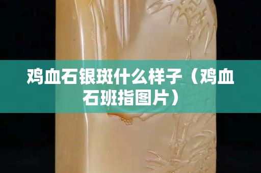 鸡血石银斑什么样子（鸡血石班指图片）
