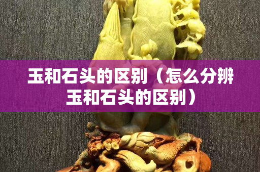 玉和石头的区别（怎么分辨玉和石头的区别）