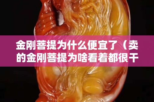 金刚菩提为什么便宜了（卖的金刚菩提为啥看着都很干净）