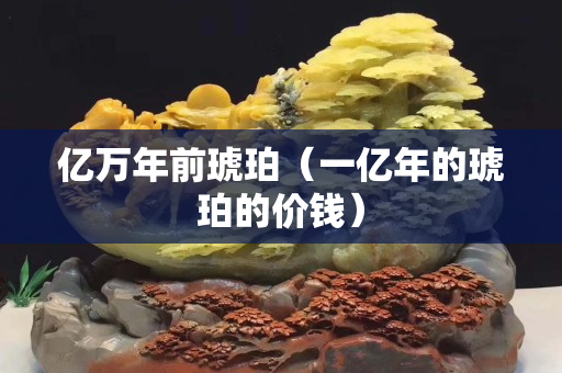 亿万年前琥珀（一亿年的琥珀的价钱）