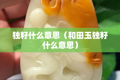 独籽什么意思（和田玉独籽什么意思）