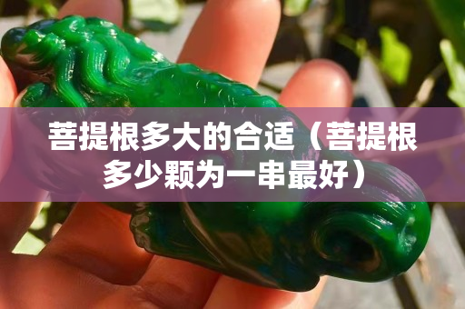 菩提根多大的合适（菩提根多少颗为一串最好）