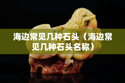 海边常见几种石头（海边常见几种石头名称）