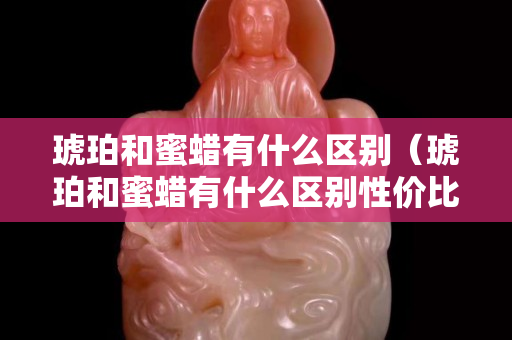 琥珀和蜜蜡有什么区别（琥珀和蜜蜡有什么区别性价比呢）