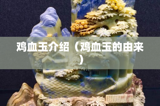鸡血玉介绍（鸡血玉的由来）
