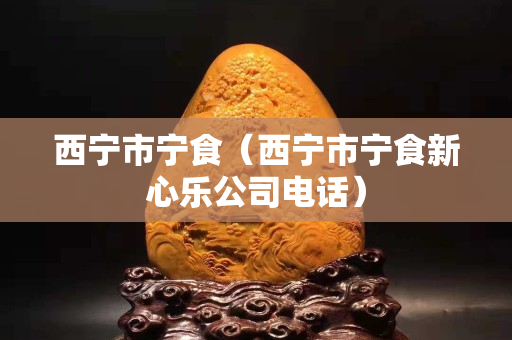 西宁市宁食（西宁市宁食新心乐公司电话）