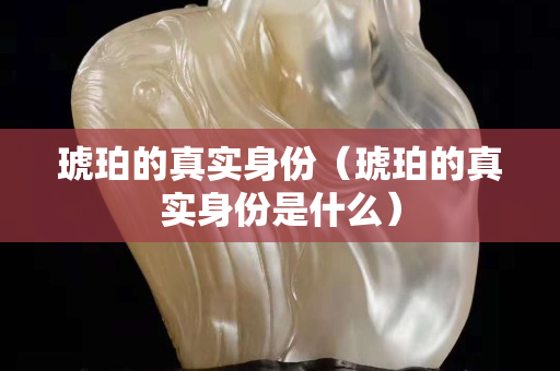琥珀的真实身份（琥珀的真实身份是什么）