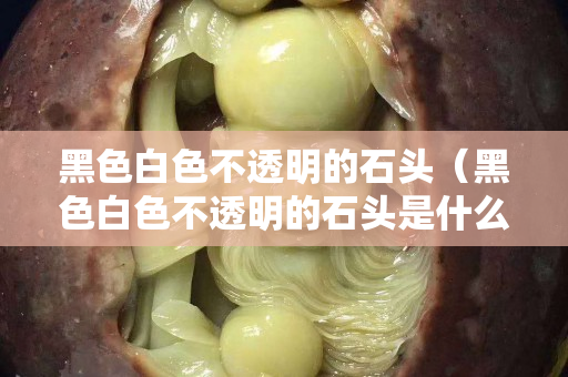 黑色白色不透明的石头（黑色白色不透明的石头是什么）