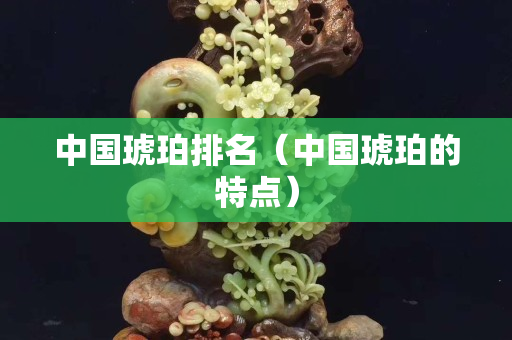 中国琥珀排名（中国琥珀的特点）