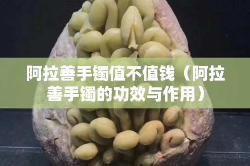 阿拉善手镯值不值钱（阿拉善手镯的功效与作用）