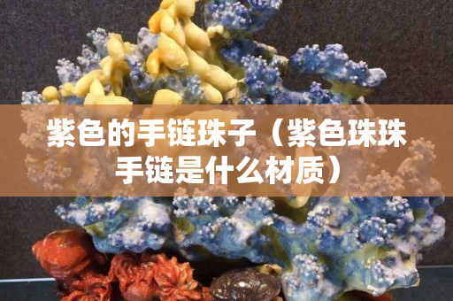 紫色的手链珠子（紫色珠珠手链是什么材质）