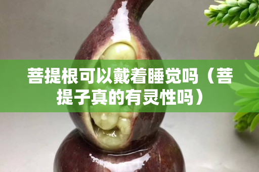 菩提根可以戴着睡觉吗（菩提子真的有灵性吗）