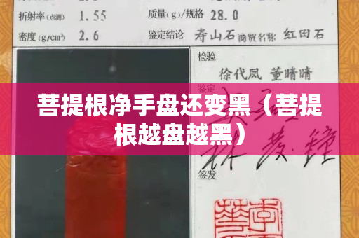 菩提根净手盘还变黑（菩提根越盘越黑）