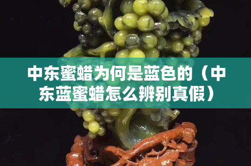 中东蜜蜡为何是蓝色的（中东蓝蜜蜡怎么辨别真假）