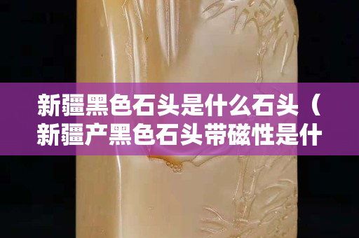 新疆黑色石头是什么石头（新疆产黑色石头带磁性是什么）