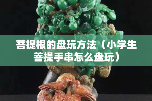 菩提根的盘玩方法（小学生菩提手串怎么盘玩）