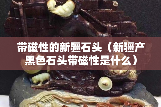 带磁性的新疆石头（新疆产黑色石头带磁性是什么）