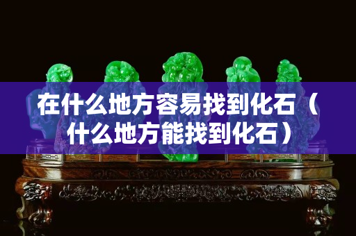在什么地方容易找到化石（什么地方能找到化石）