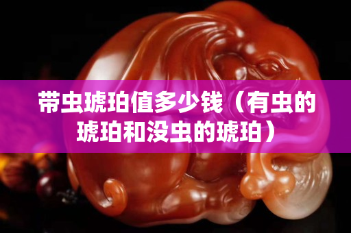 带虫琥珀值多少钱（有虫的琥珀和没虫的琥珀）