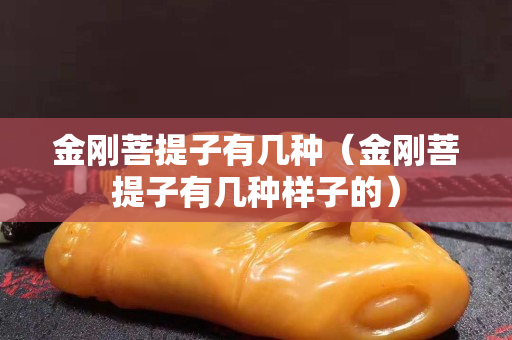 金刚菩提子有几种（金刚菩提子有几种样子的）